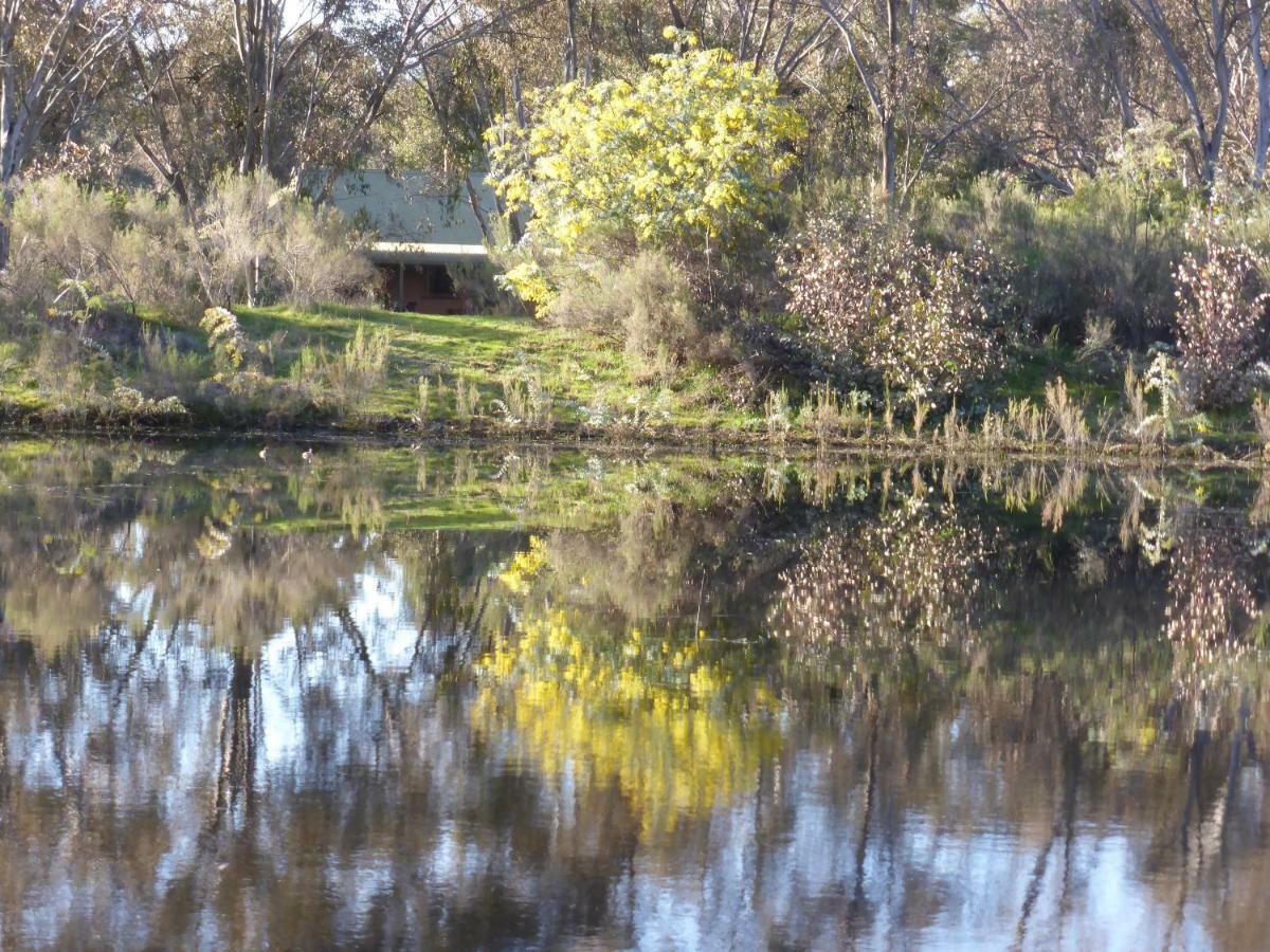 Wildwood Guesthouse Mudgee Exteriér fotografie