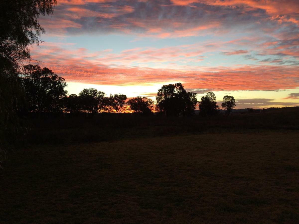 Wildwood Guesthouse Mudgee Exteriér fotografie